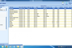 flap rest 12